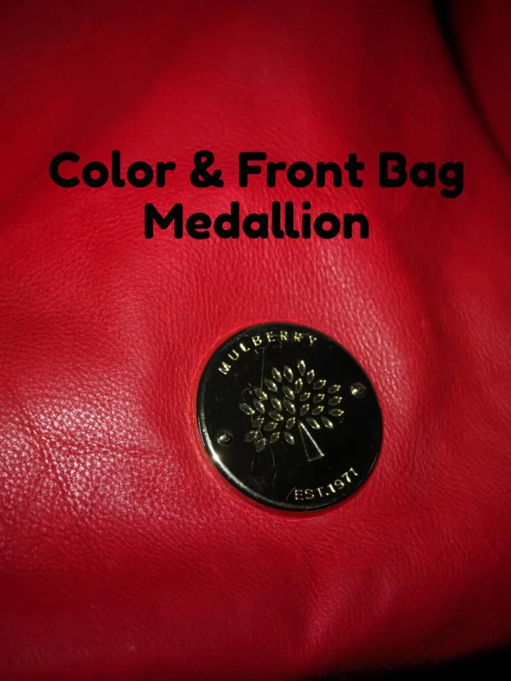 Red Leather Slouchy Hobo Bag Mulberry Daria Style